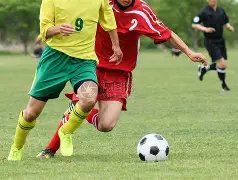 全红婵遭受,羞辱,朱小龙事件,ebpay官网下载app,ebpay下载,ebpay官网