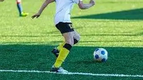 科技炫彩迎新季：机器人高校校园闪耀成焦点