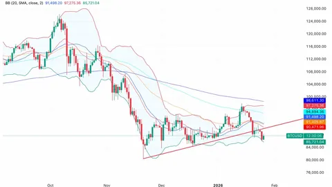 张柏芝计划在上海安家？因孩子教育问题转学受阻