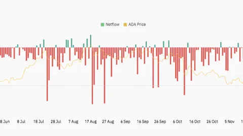 武磊全场亮相 西班牙人与费伦茨瓦罗斯握手言和