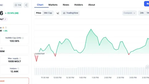 “即将引爆！Paradex DIME代币TGE来袭，空投比例翻倍至25%，2月盛宴不容错过，币圈焦点大揭秘！”
