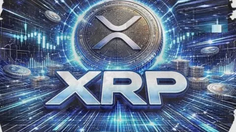 8月31日男篮世界杯中科对决直播时刻揭晓